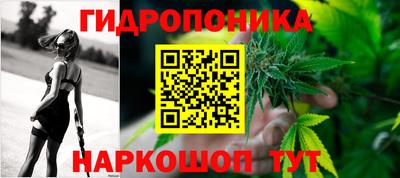 apvp Дубна