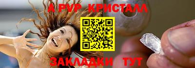 дмт Донской