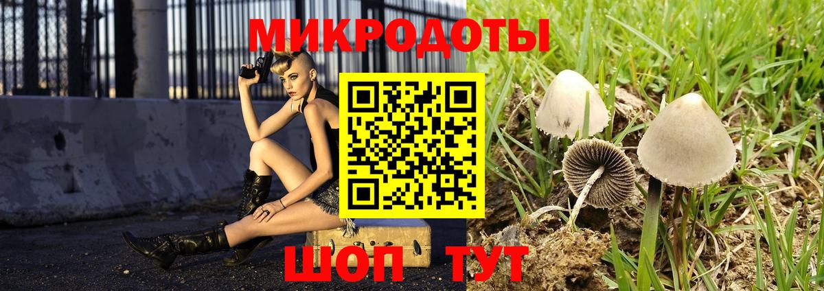 Галлюциногенные грибы Psilocybine cubensis Лиски