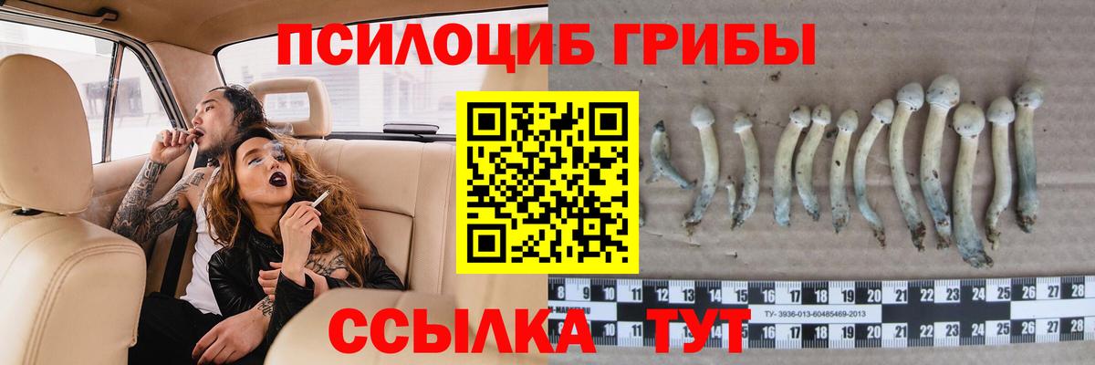 Галлюциногенные грибы Psilocybe  Вход с VPN  Лиски  Псилоцибиновые грибы MAGIC MUSHROOMS 